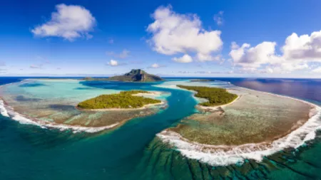 Rainforest Reef & South Pacific Islands