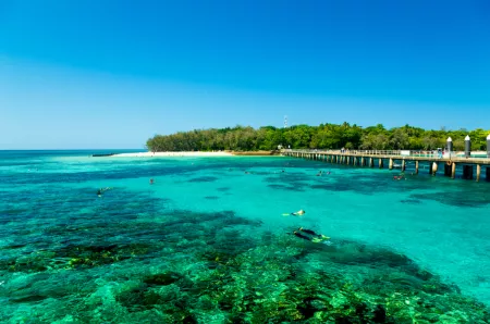 Rainforest, Reef & South Pacific Islands