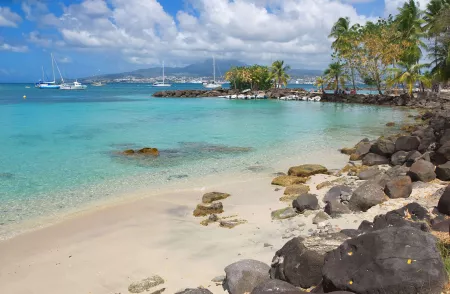 Collector's Caribbean