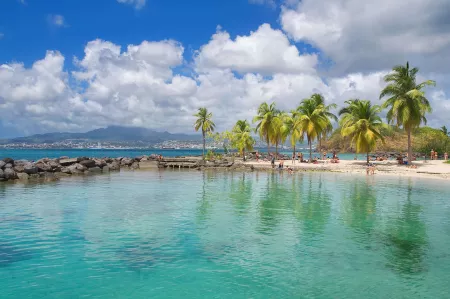 Collector's Caribbean
