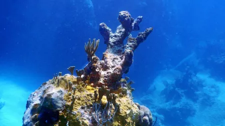 Antillean Island Sojourn