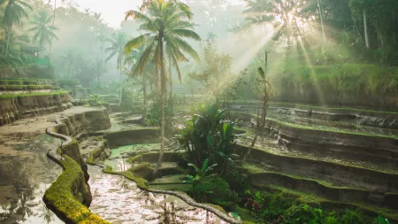 Melbourne to Benoa, Bali