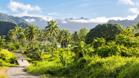 Rainforest, Reef & South Pacific Islands