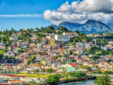 Collector's Caribbean