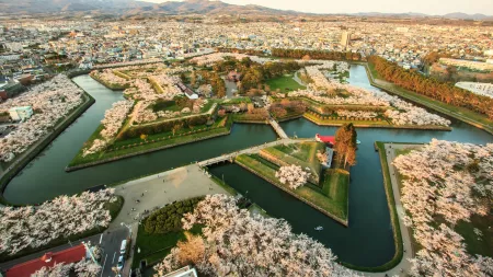 14-Day Circle Japan