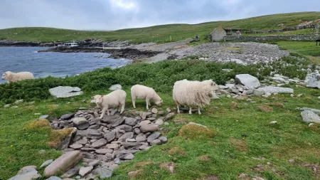 7-Day Norwegian Fjords & Scotland With History Channel