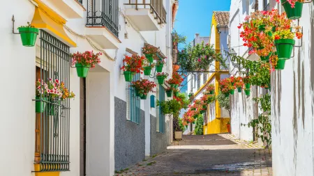 Mediterranean Marvel