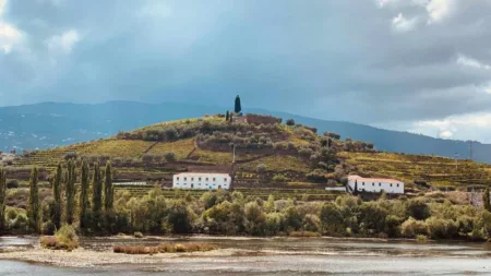 Delightful Douro with Porto