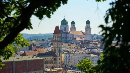 Danube Christmas Delights