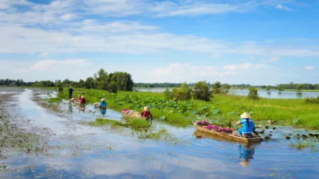 Riches of the Mekong