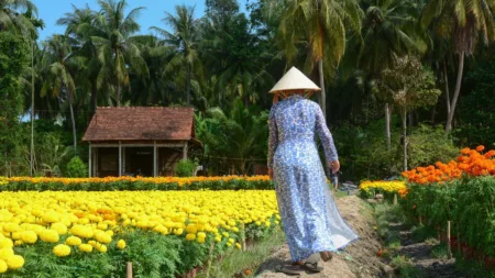 Classic Japan & Treasures of the Mekong