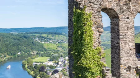 Scenic Vistas of the Moselle 2027