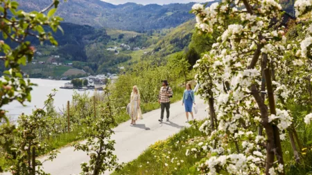 Norwegian Fjords cruise from Southampton