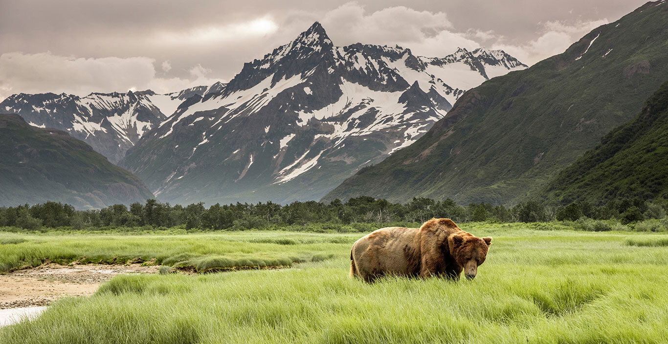 Holland America Line: Alaska cruises