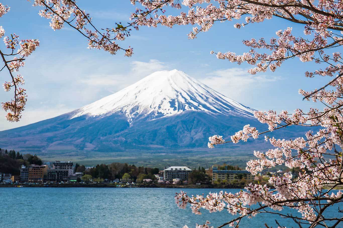 There are few sights as beautiful as Japan during cherry blossom season