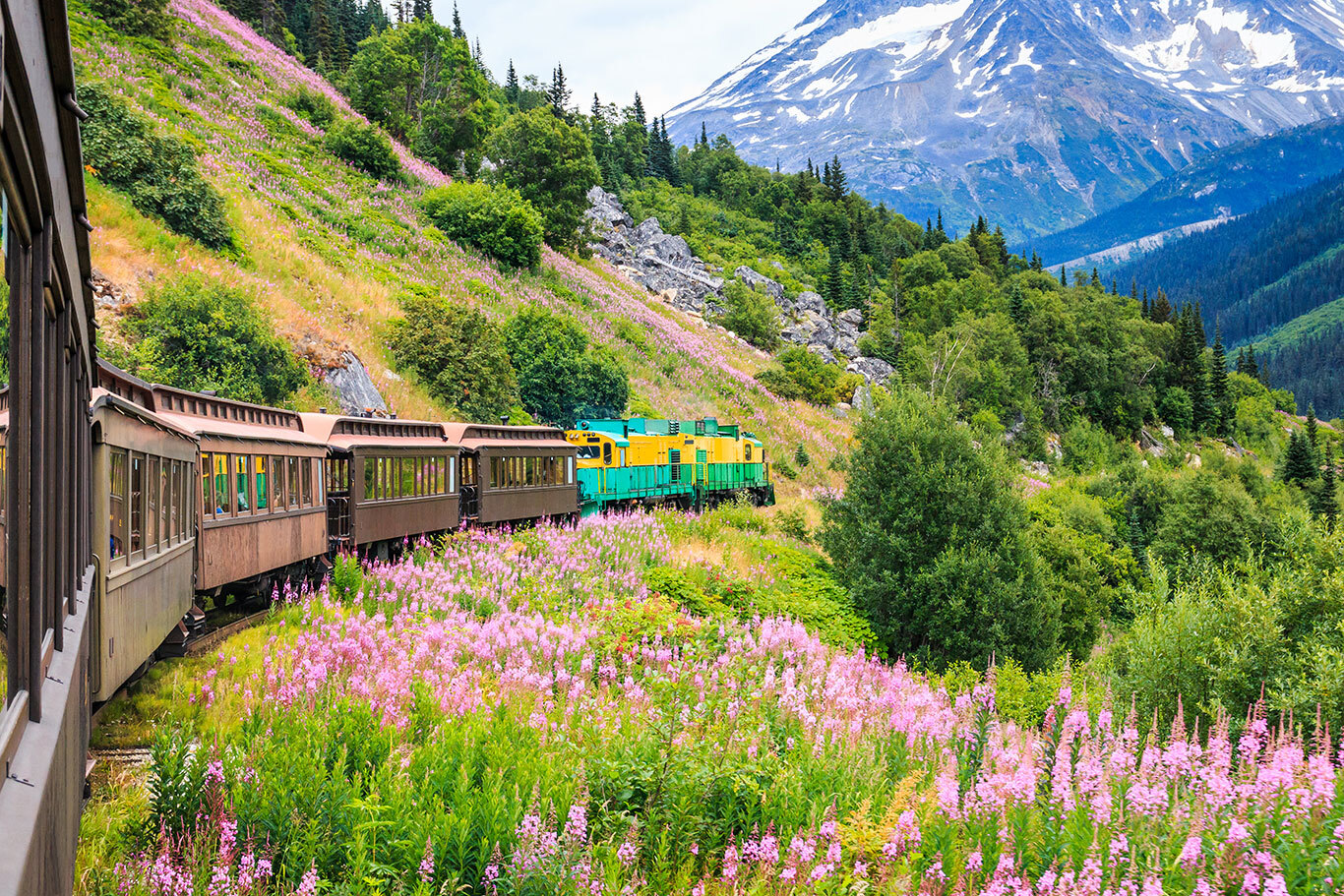 Holland America Line: white pass railway, Alaska cruise