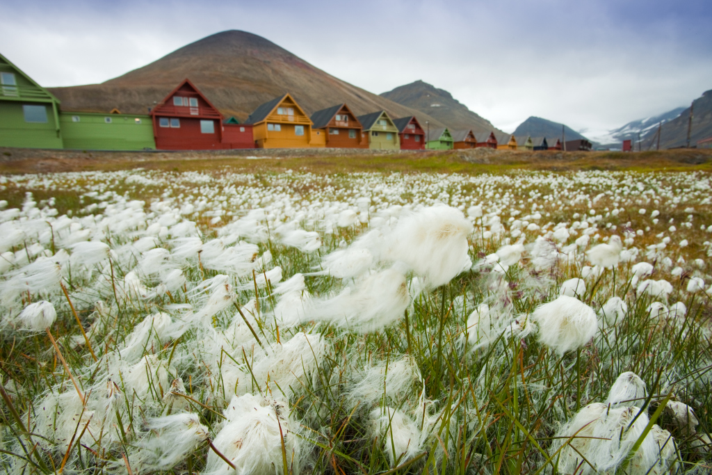 Colourful Architecture in Longyearbyen - David Slater