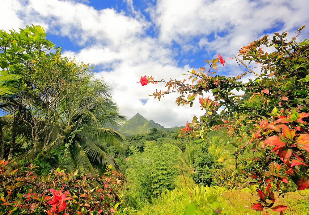 Martinique