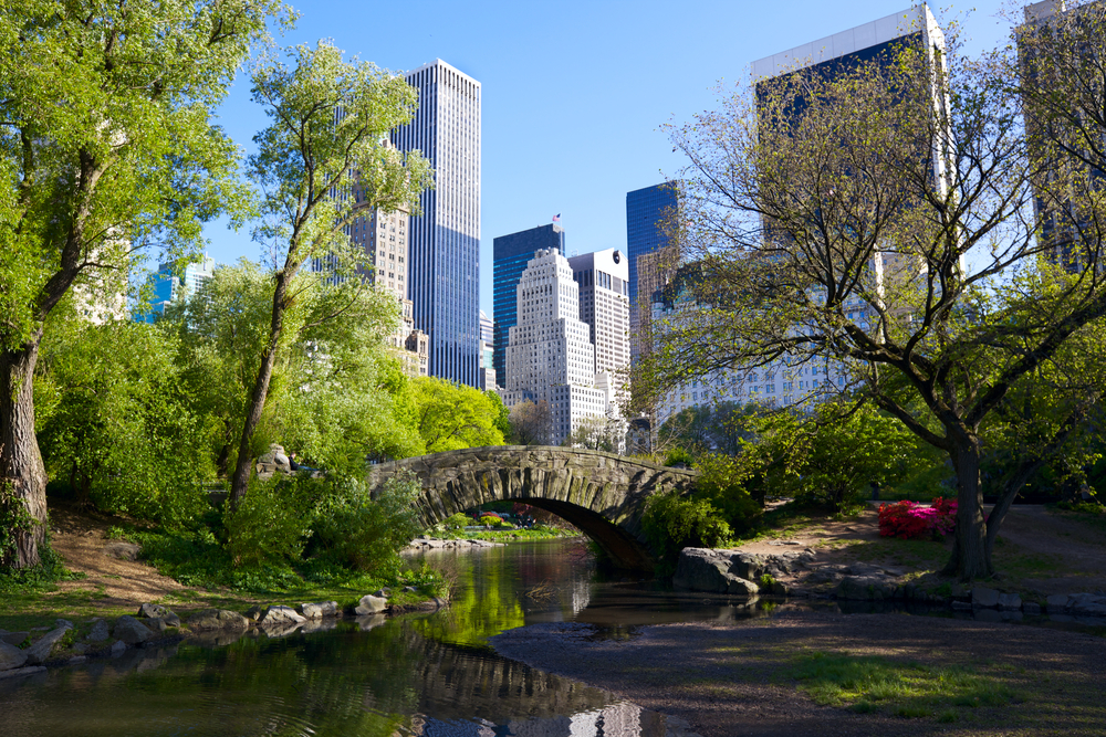 Central Park, New york