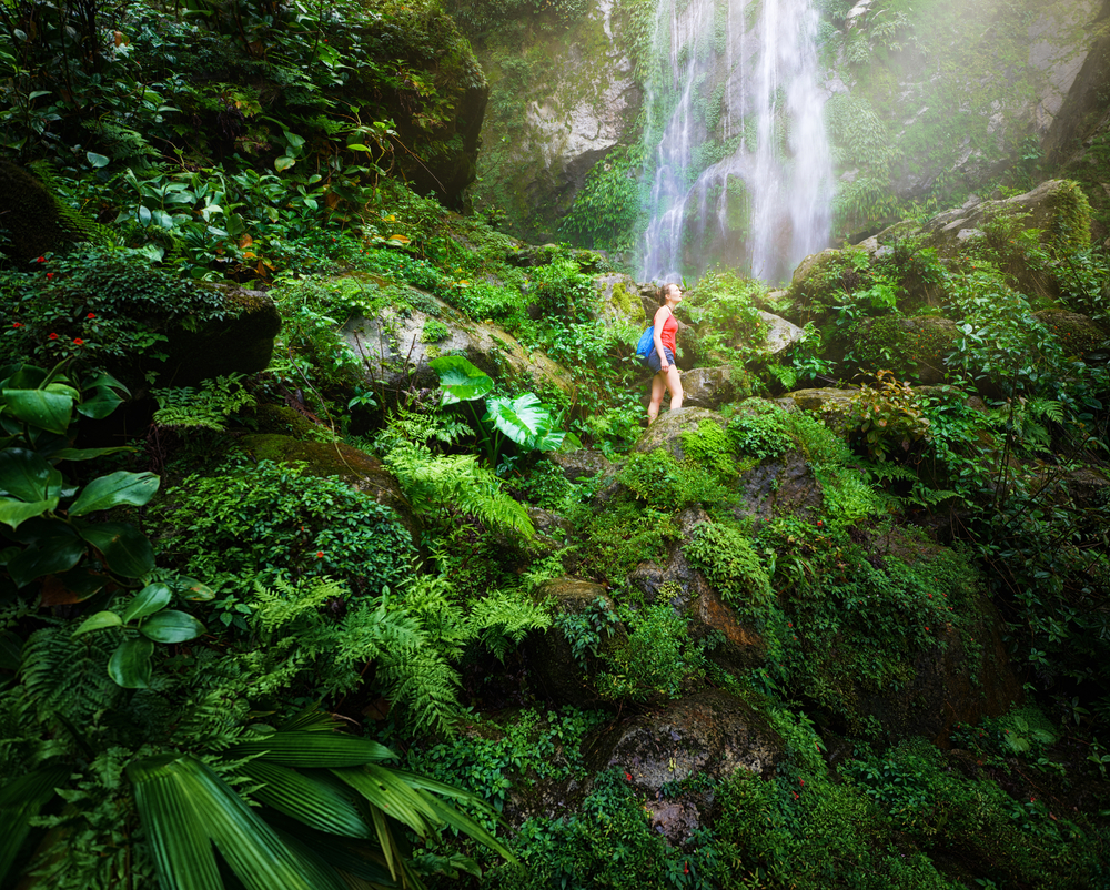 Central America - Waterfall