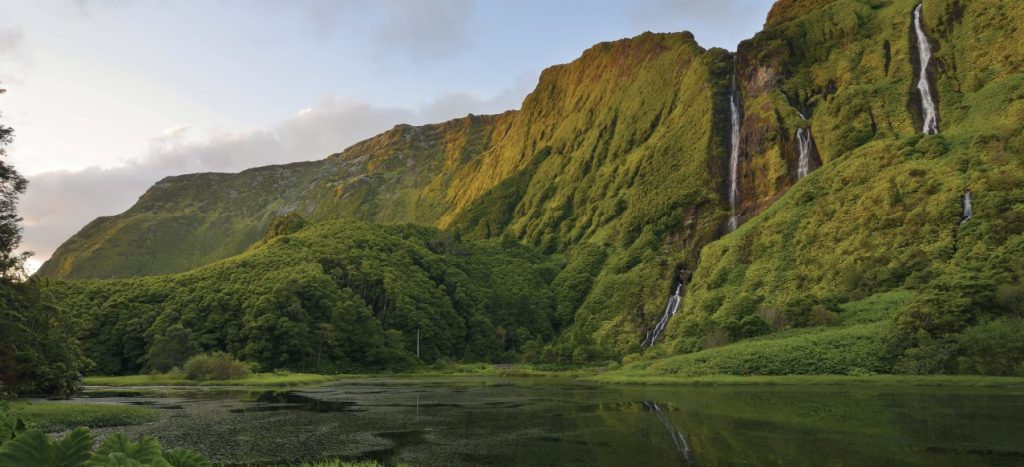 Flores - Azores