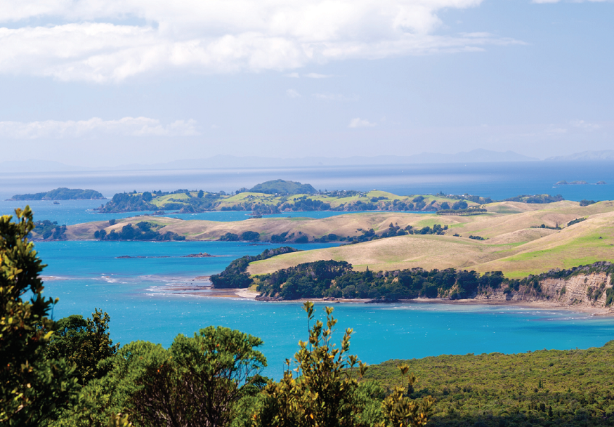Rangitoto island - New Zealand