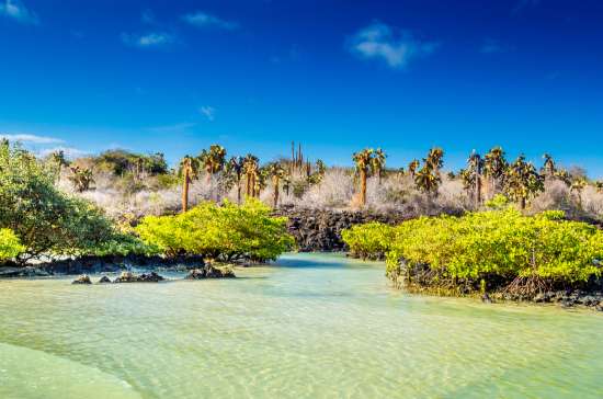 Galapagos Island