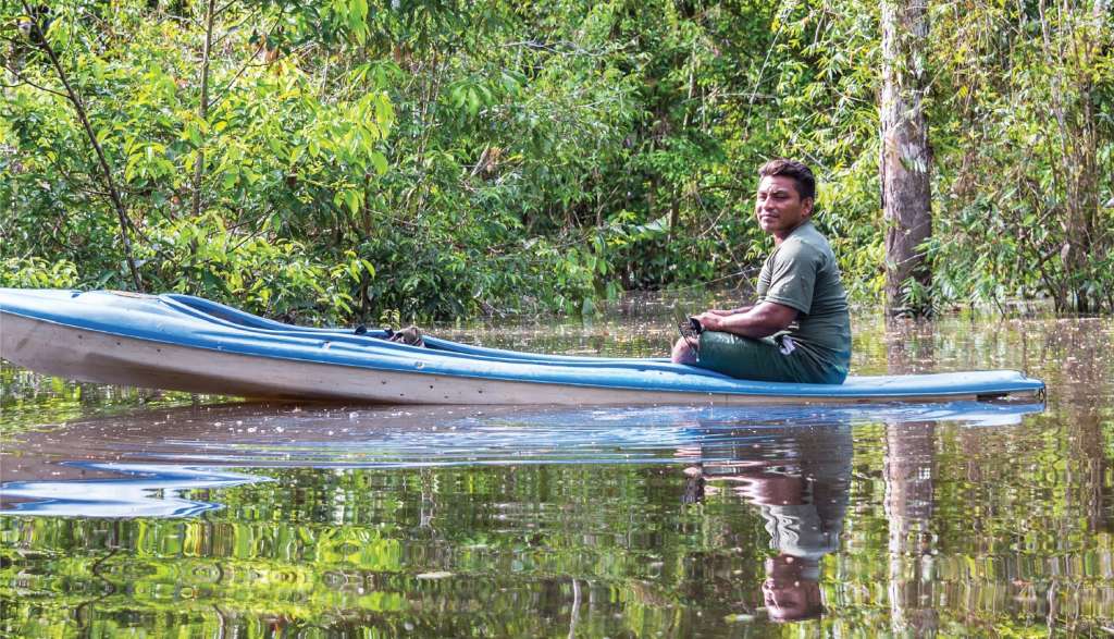 Amazon rainforest