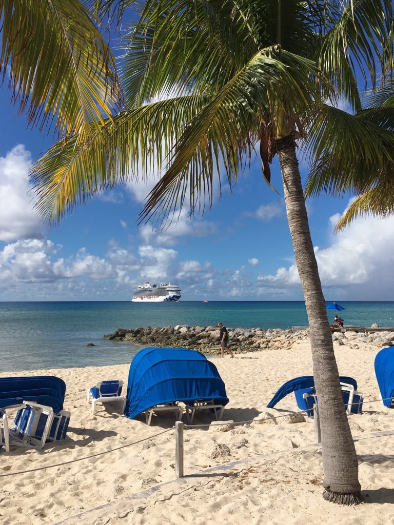 Caribbean, tropical, cruise, parrots