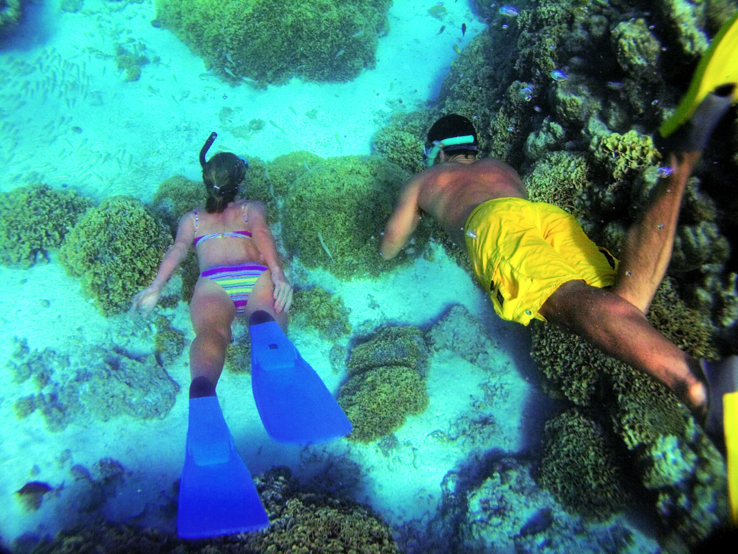 snorkel, Tahiti, new itinerary