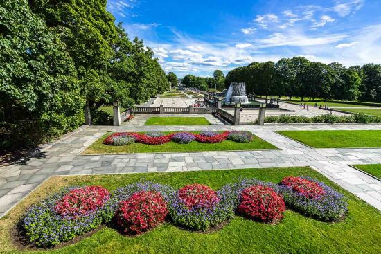 Beautiful flowers in Frogner Park