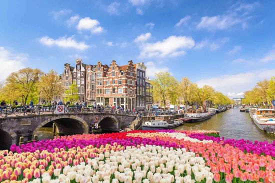 Amsterdam Netherlands, city skyline at canal waterfront with tulips