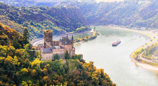 Rhine river cruise with medieval castles