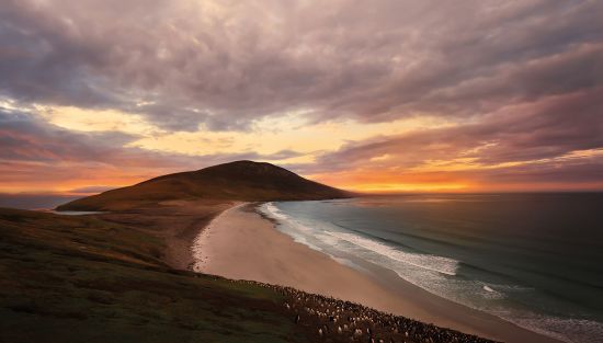 Falkland Islands' deserted beach