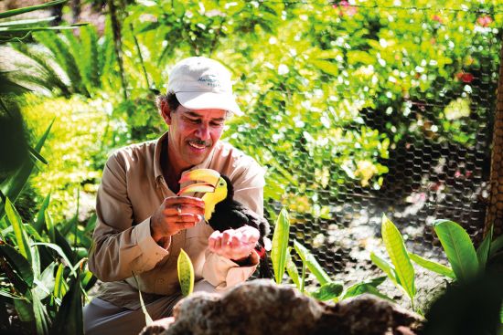 Man holding a toucan at Norwegian Cruise Line's private island, Harvest Caye