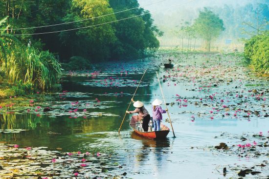 Cruise to Vietnam