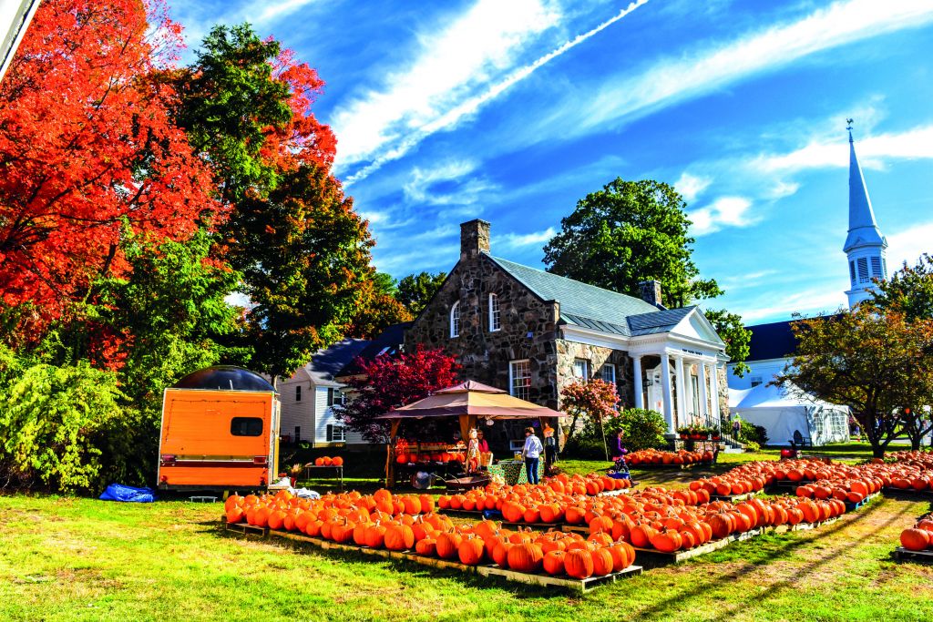 Pumpkin patch in New England