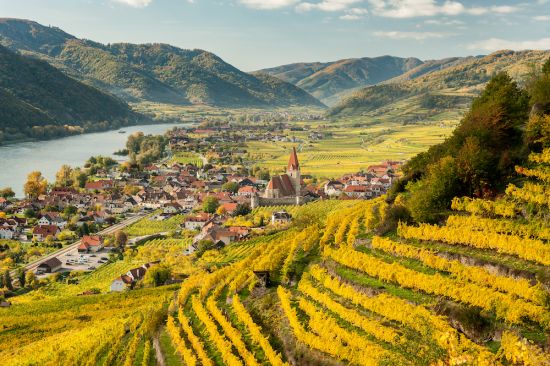 Danube river cruise: Weissenkirchen Wachau Austria in autumn colored leaves and vineyards on a sunny day