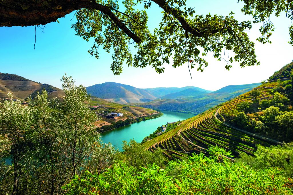 Douro River