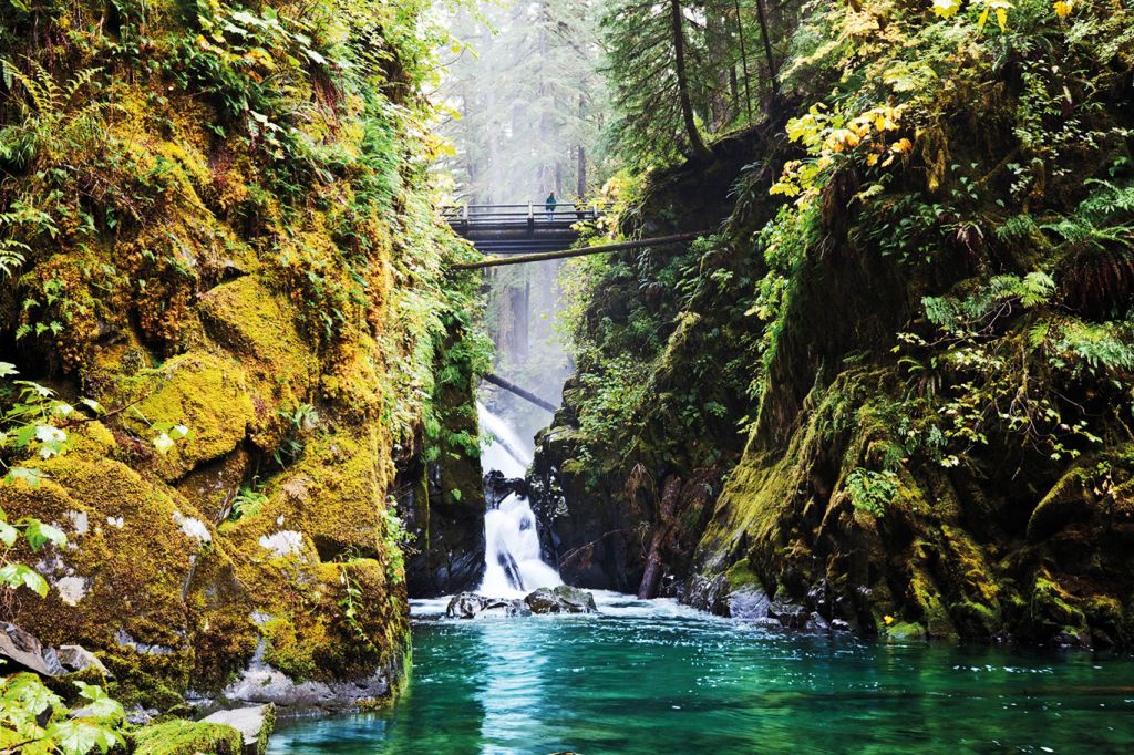 Washington State: Olympic National Park