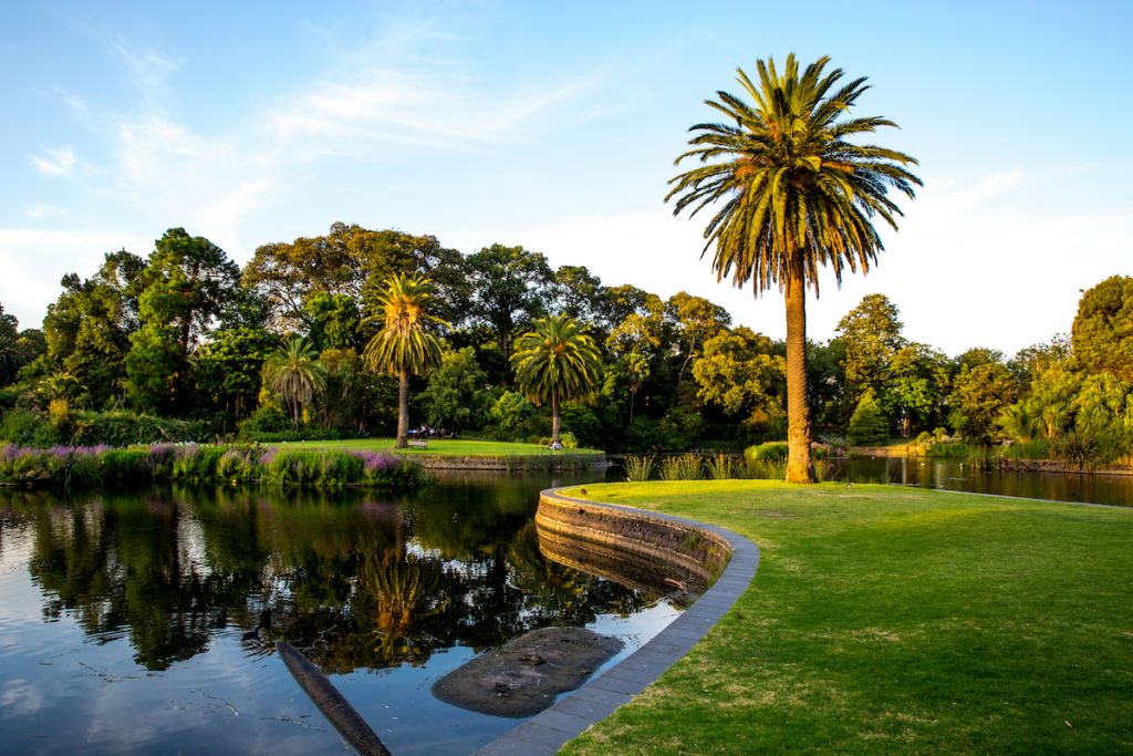 Melbourne Royal Botanic Garden