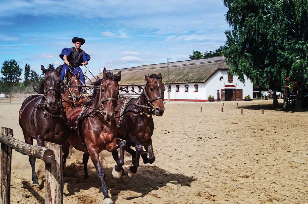 Danube river cruise: Hungary horseriding