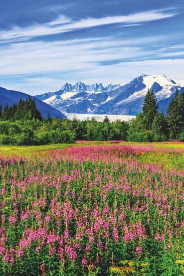 Field in Alaska