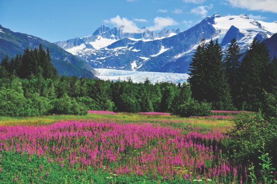 Mendenhall glacier alaska