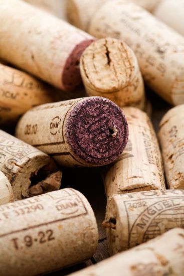 River cruise Bordeaux France: wine corks