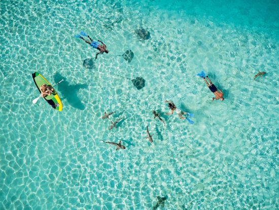 Aerial Snorkel and Kayaks Paul Gauguin