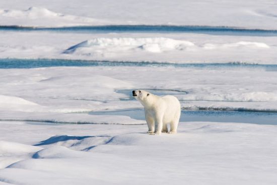 spitsbergen